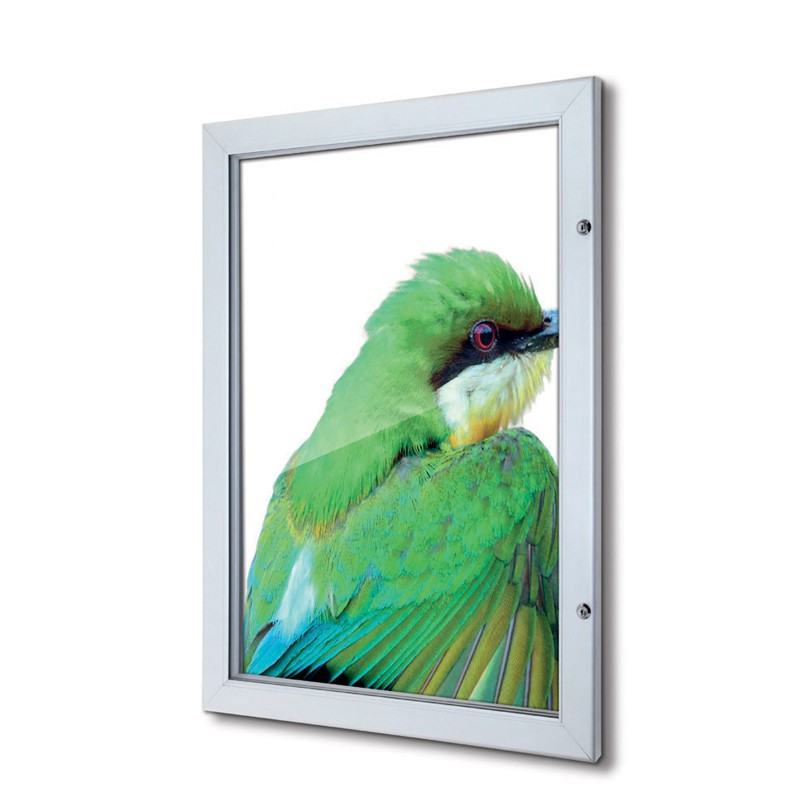 Cadre d'affichage poster fond plastique