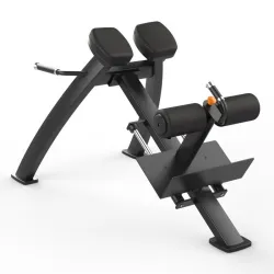 Adjustable Roman Bench