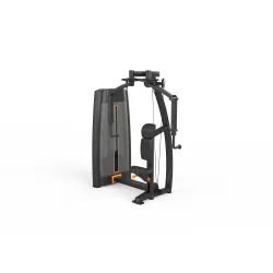 Pectoral Fly / Rear Deltoid