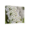 Cloison Déco en tissu Wall - White flower-Cloison Déco : Conception standard Altumis
