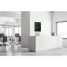 Toile tendue sur cadre Noir - Cactus-Mur Déco : Conception standard Altumis