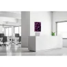 Toile tendue sur cadre Noir - Cactus-Mur Déco : Conception standard Altumis