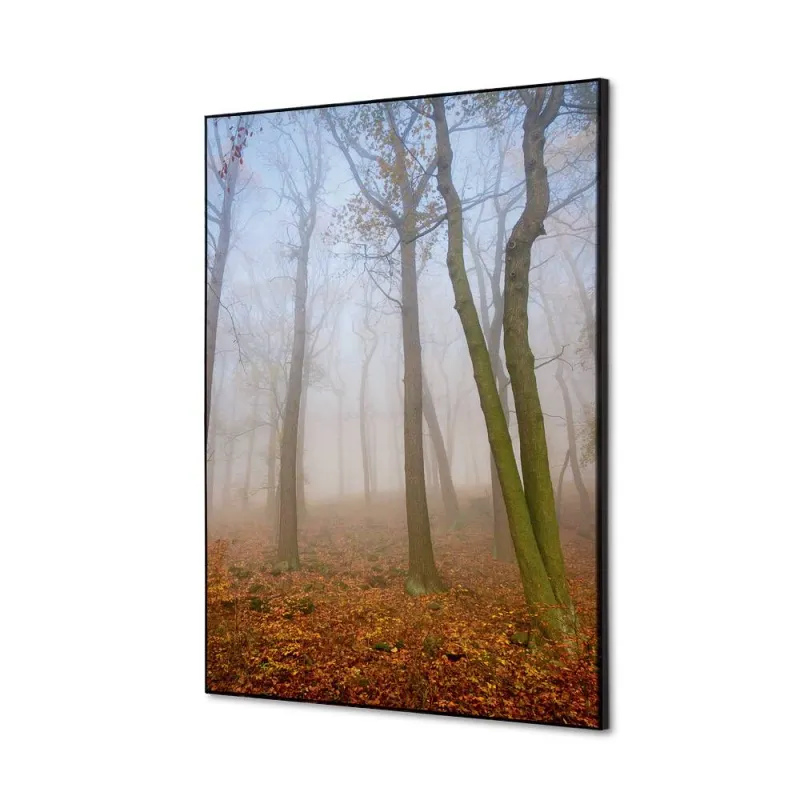 Toile tendue sur cadre Noir - Brume d'automne-Mur Déco : Conception standard Altumis