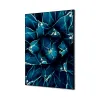 Toile tendue sur cadre Noir - Cactus-Mur Déco : Conception standard Altumis