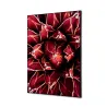 Toile tendue sur cadre Noir - Cactus-Mur Déco : Conception standard Altumis