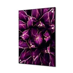 Toile tendue sur cadre Noir - Cactus-Mur Déco : Conception standard Altumis