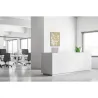 Toile tendue sur cadre Noir - Cerisier japonais-Mur Déco : Conception standard Altumis