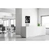 Toile tendue sur cadre Noir - Cerisier japonais-Mur Déco : Conception standard Altumis