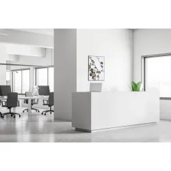 Toile tendue sur cadre Noir - Cerisier japonais-Mur Déco : Conception standard Altumis