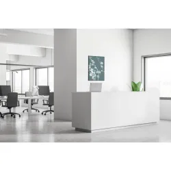 Toile tendue sur cadre Noir - Cerisier japonais-Mur Déco : Conception standard Altumis