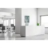 Toile tendue sur cadre Noir - Cerisier japonais-Mur Déco : Conception standard Altumis