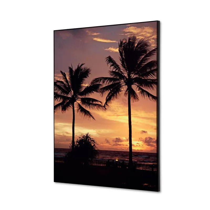 Toile tendue sur cadre Noir - Coucher de Soleil - Palmiers-Mur Déco : Conception standard Altumis