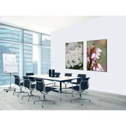 Toile tendue sur cadre Noir - Pink flower-Mur Déco : Conception standard Altumis