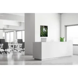 Toile tendue sur cadre Noir - White flower-Mur Déco : Conception standard Altumis