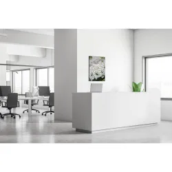 Toile tendue sur cadre Noir - Fleurs Perce-neige-Mur Déco : Conception standard Altumis