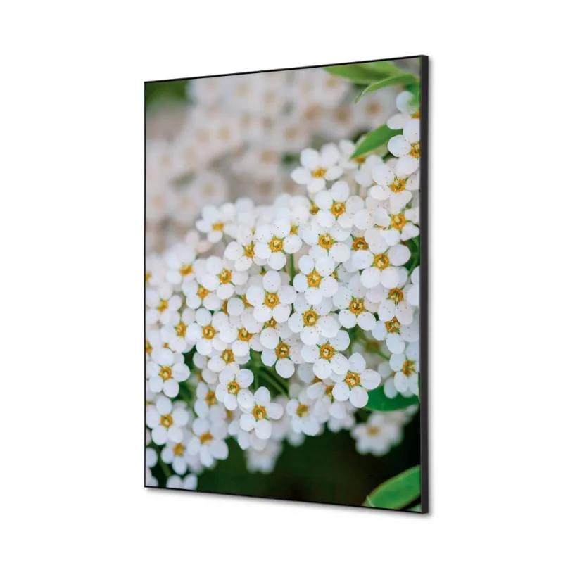 Toile tendue sur cadre Noir - Fleurs Perce-neige-Mur Déco : Conception standard Altumis