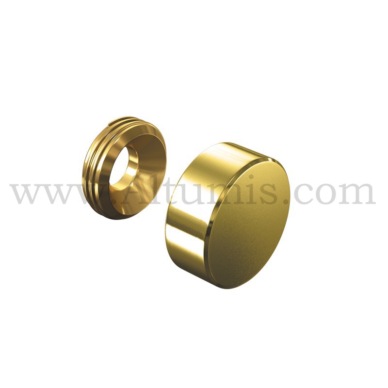 GOLD PLASTIDOME SCREW COVER CAPS WITH WASHER CHOOSE QTY 